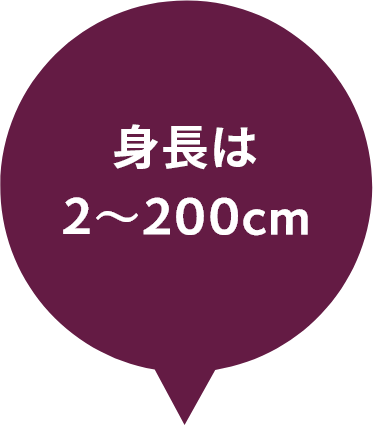 身長は2〜200cm